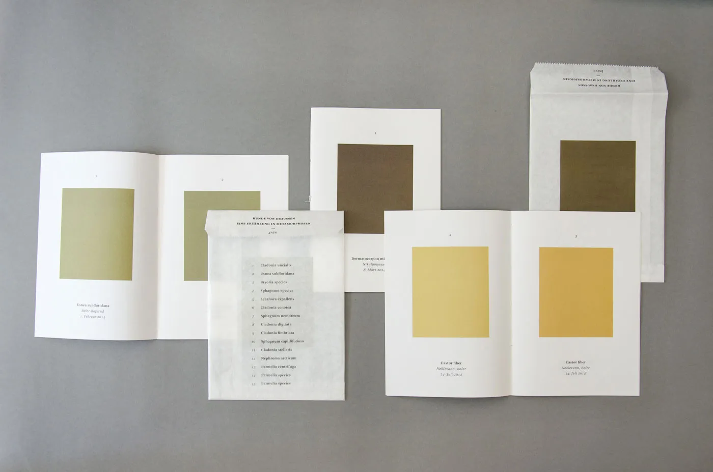 Knowledge from outside, artist book, Eva Artinger, Lena Kaapke (2015)
