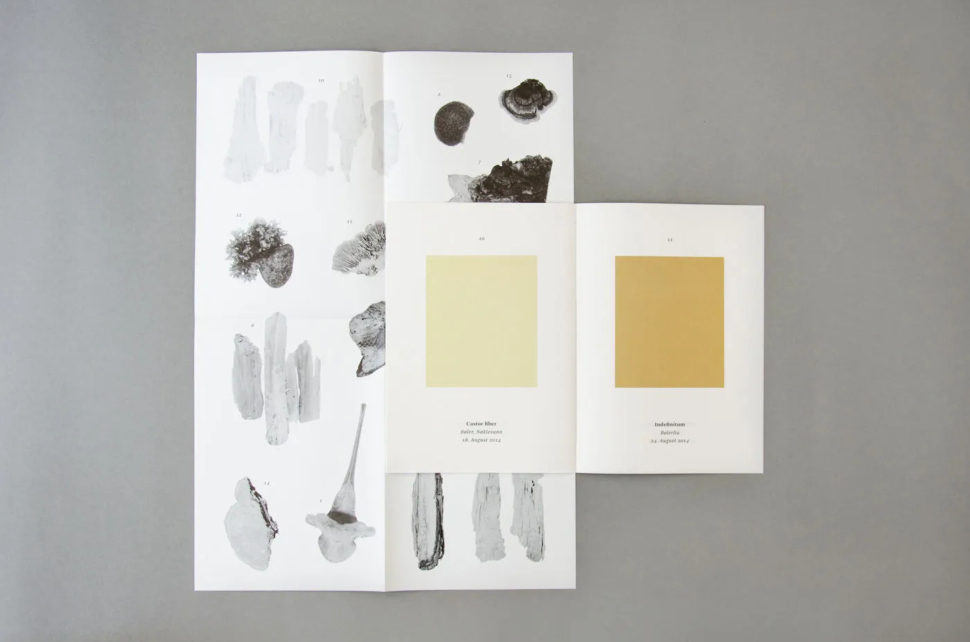 Knowledge from outside, artist book, Eva Artinger, Lena Kaapke (2015)