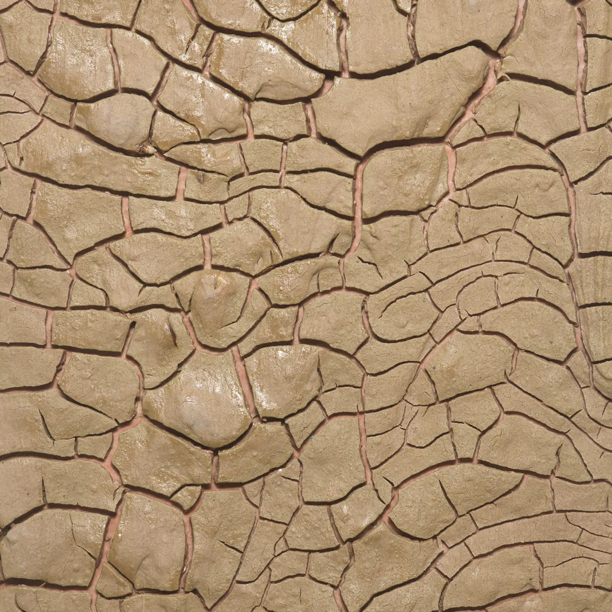 Earth Gradient