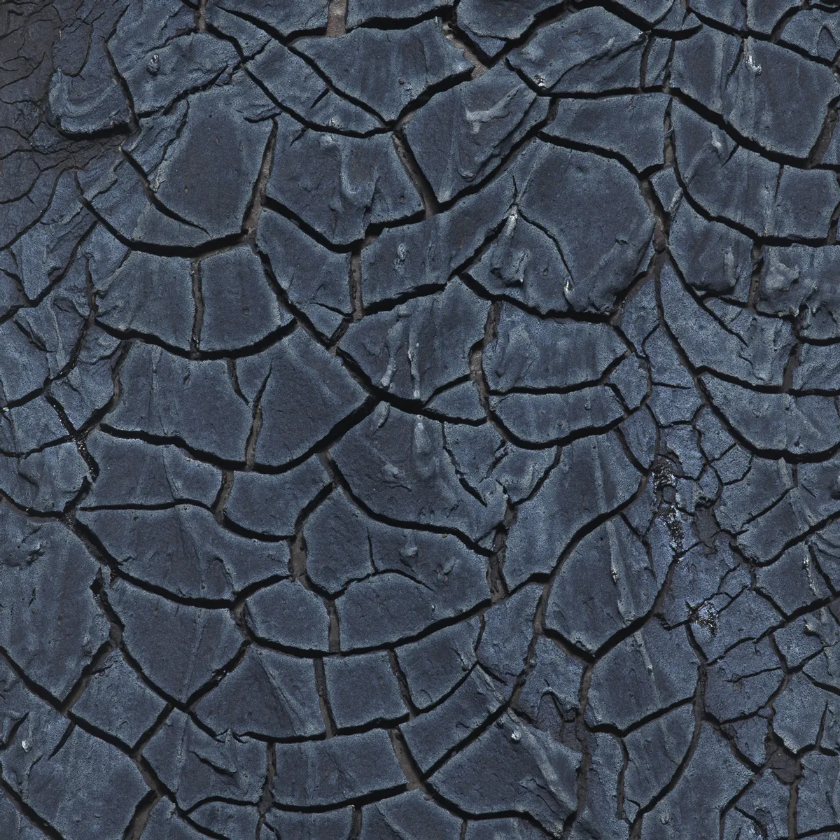 Earth Gradient
