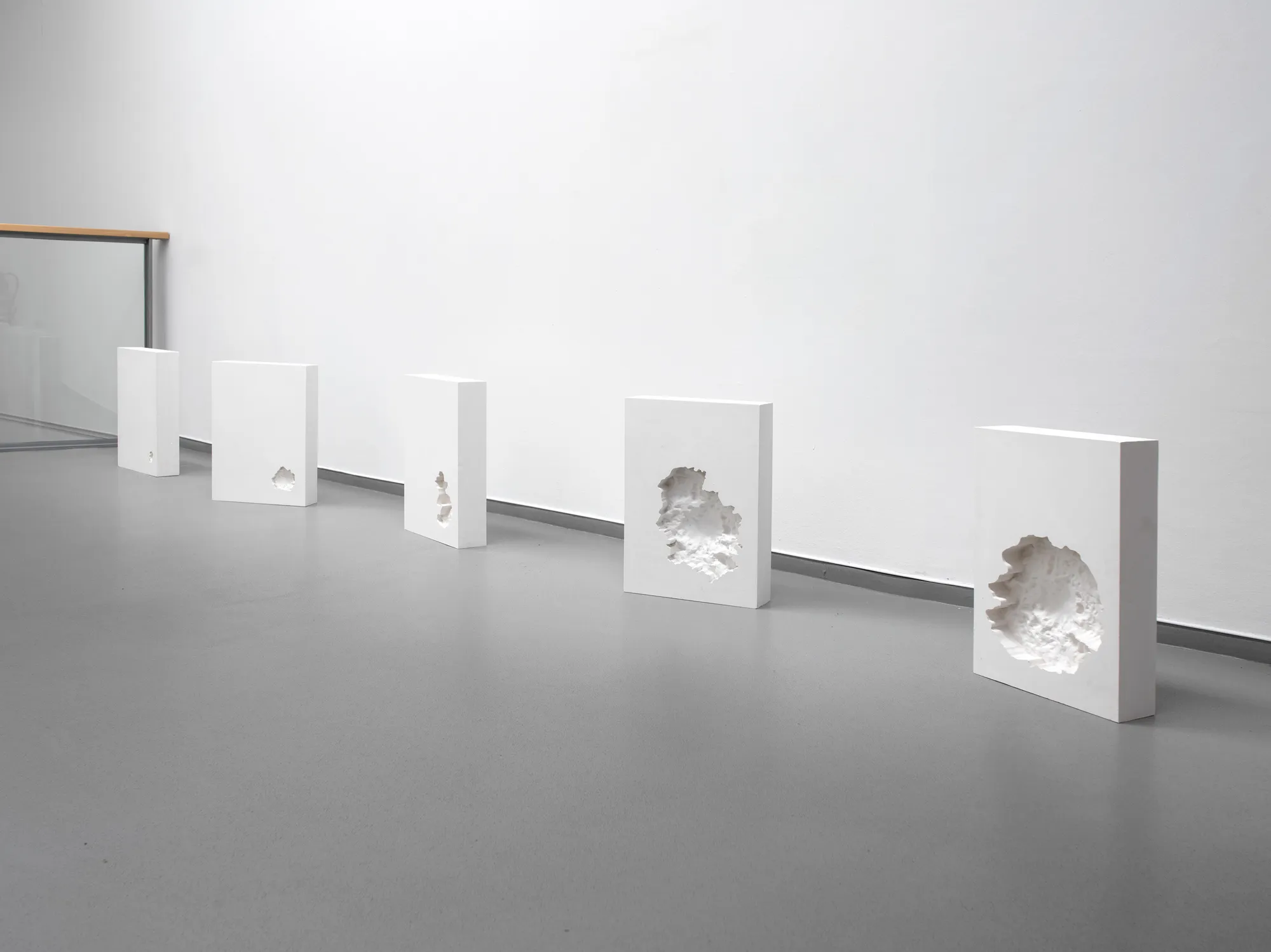 Growing Absence (2024)