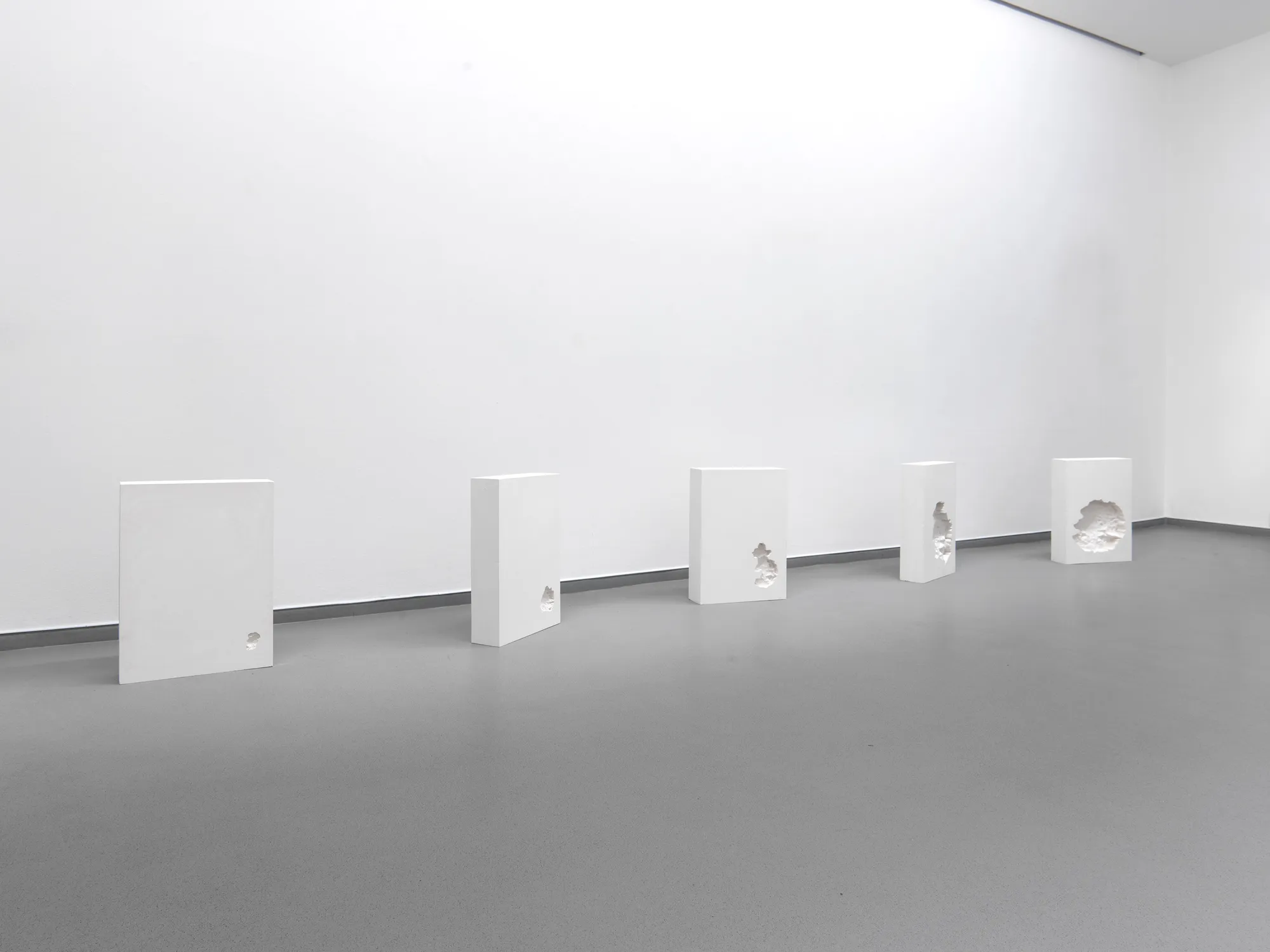 Growing Absence (2024)