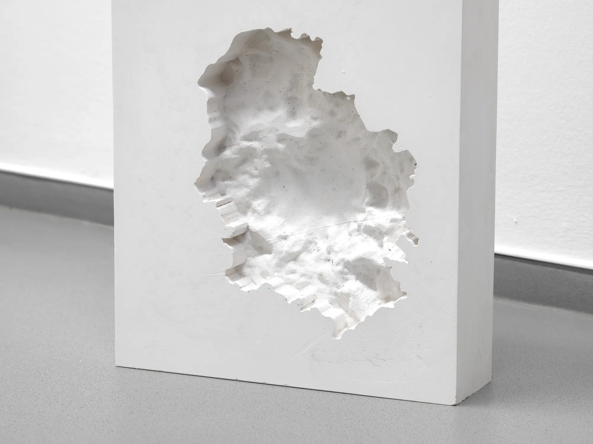 Growing Absence (2024)