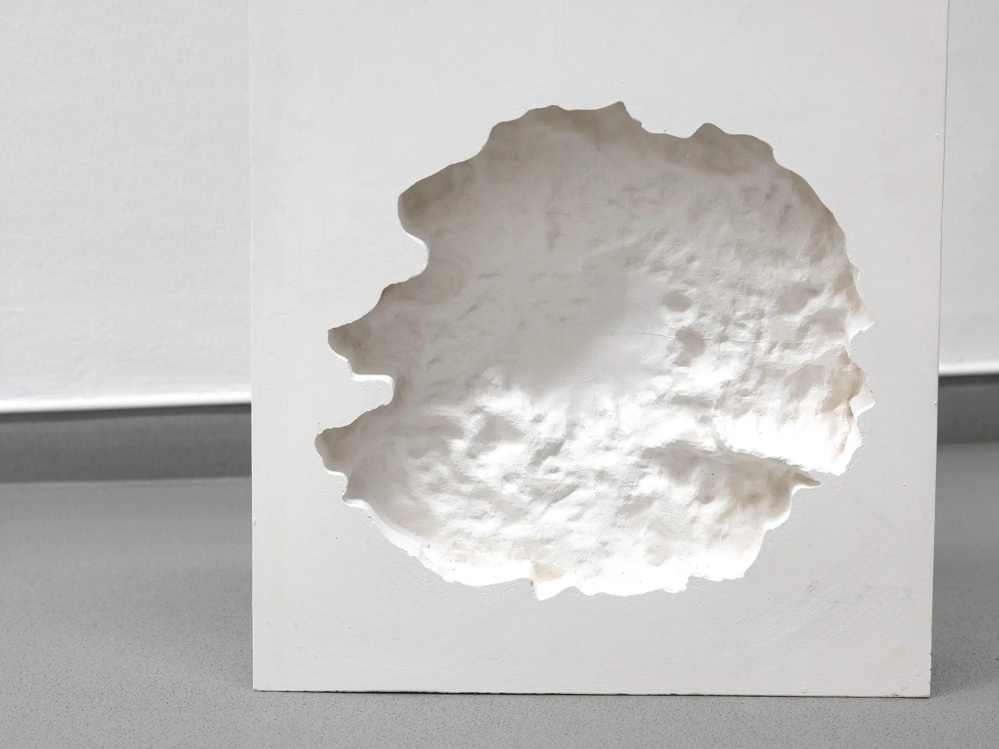 Growing Absence (2024)