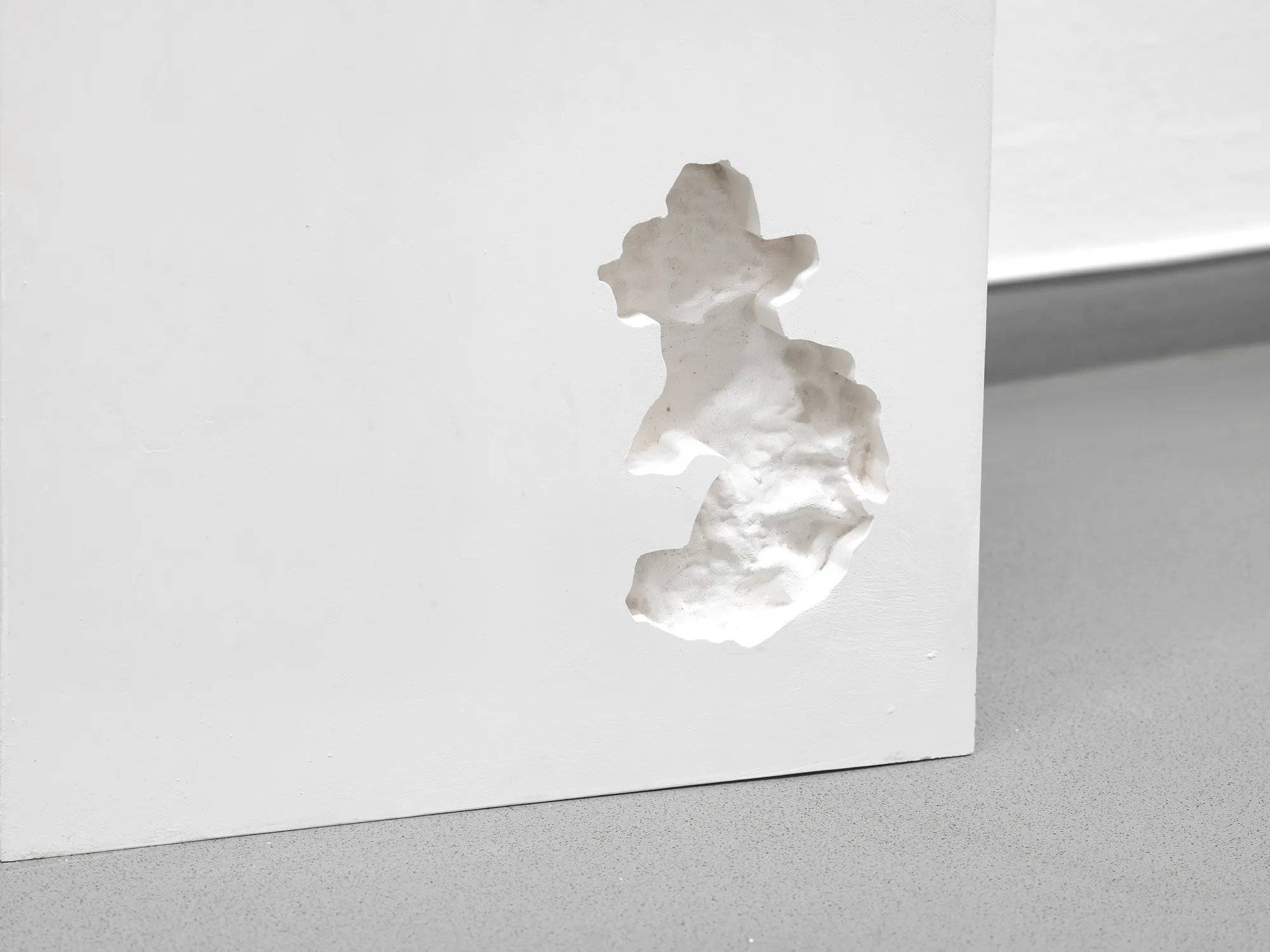 Growing Absence (2024)