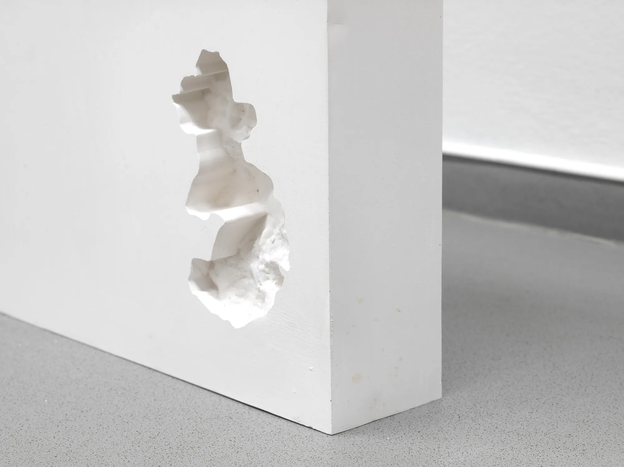 Growing Absence (2024)