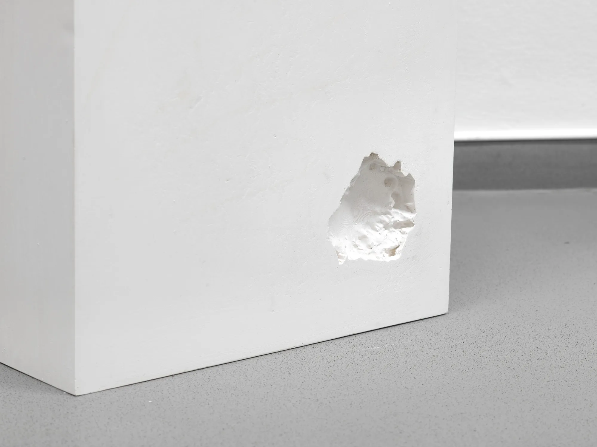 Growing Absence (2024)